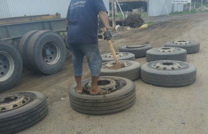 Hình ảnh hoạt động