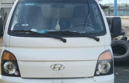 Hình ảnh hoạt động
